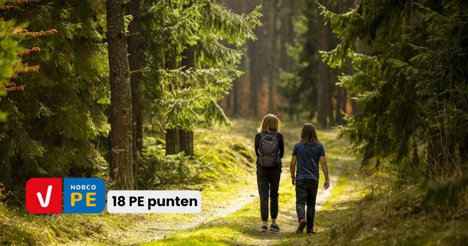 Opleiding Veerkracht Coach 18 PE Punten